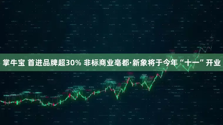 掌牛宝 首进品牌超30% 非标商业亳都·新象将于今年“十一”开业