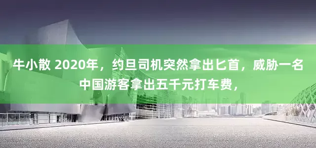 牛小散 2020年，约旦司机突然拿出匕首，威胁一名中国游客拿出五千元打车费，